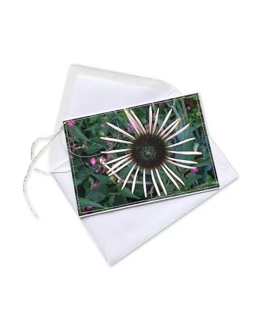 Glückwunsch- & Gruss Karte genäht - Echinacea weiss Aussenseite