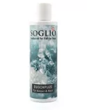 Duschplus Körperpflege Duschgel & Shampoo 200 ml - Flüssigseife vegan