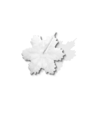 Olivenwachs-Kerze Schneeflocke - kleine