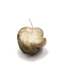  gold-schwarze Nachhaltig-Kerze & Dekor-Kerze - Bild 1