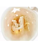 Kleine Kugel-Krippe aus Ton - Weihnachtskrippe Maria, Josef & Kind Szene 2 für Weihnachten beleuchtet
