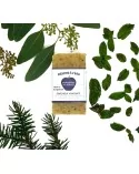 Minzwasser Hand-, Dusch- & Peelingseife - Naturseife mit Sheabutter vegan mit Deko