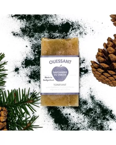 Bretonische Ouessant Hand- & Duschseife - Naturseife mit Algen & Spirulina - mit Deko