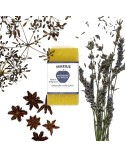 Provence Marius Gesicht-, Hand-, & Duschseife - Naturseife mit Lavandin, Bergamotte & Anis - mit Deko