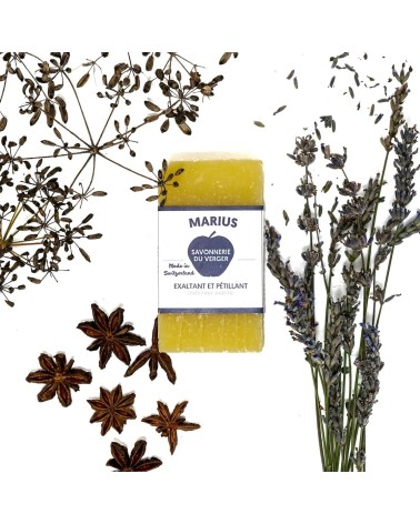 Provence Marius Gesicht-, Hand-, & Duschseife - Naturseife mit Lavandin, Bergamotte & Anis - mit Deko