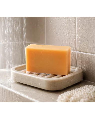 Hand- & Duschseife mit Bio-Karité-Butter vegan - Agrumes - in Bad bei Dusche