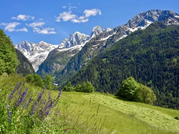 Illustration Berglandschaft Bergell