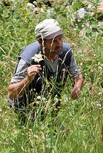 Illustration Bauer bei der Arbeit 2