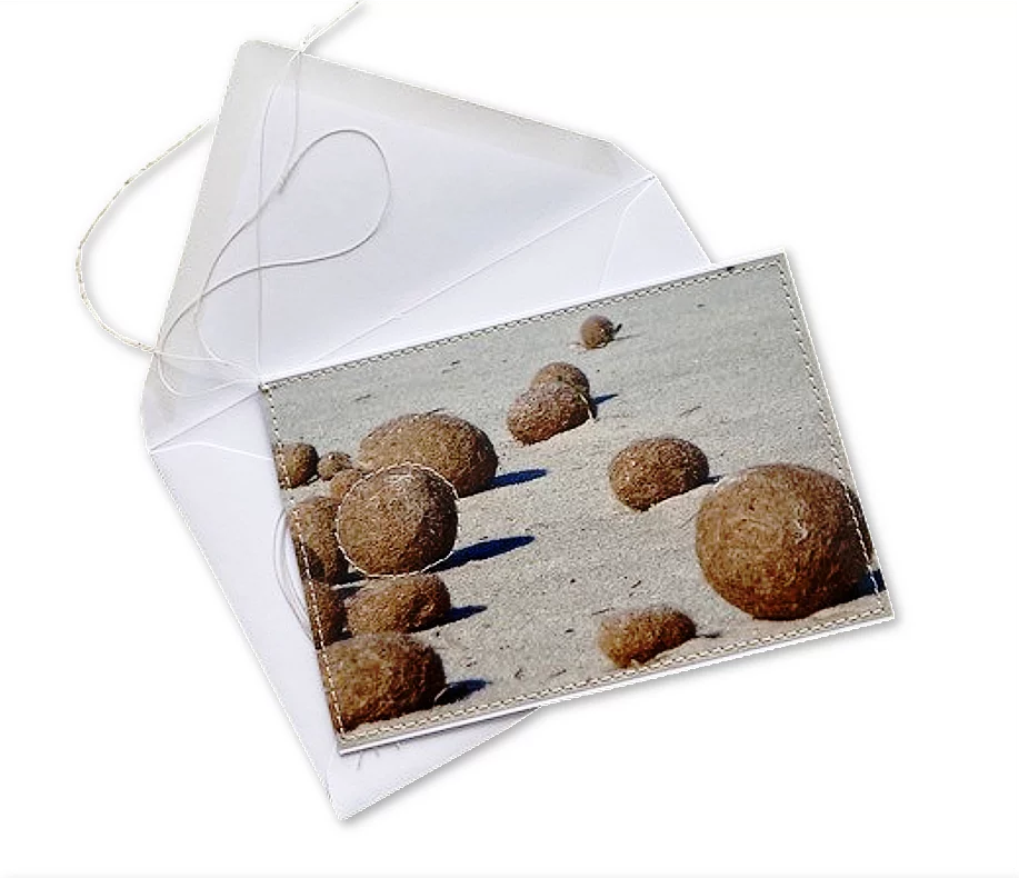 Glückwunsch- & Grusskarte